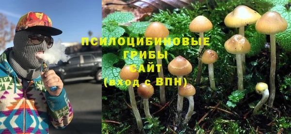 прущие грибы Балахна