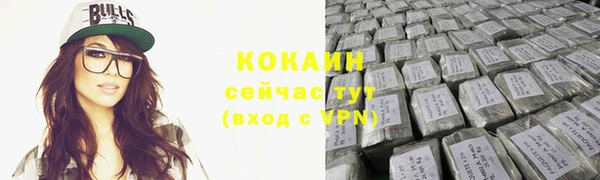 прущие грибы Балахна