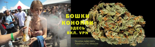 прущие грибы Балахна