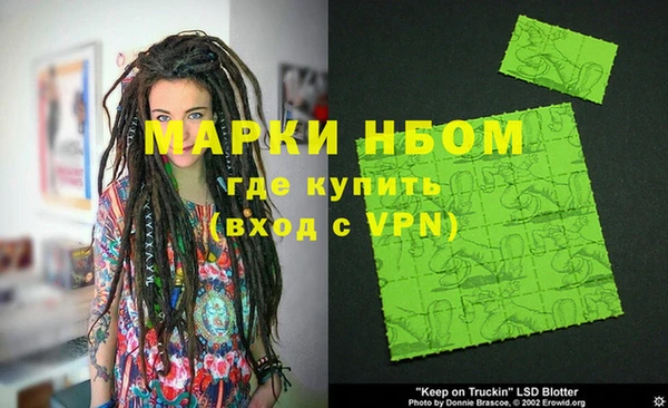 прущие грибы Балахна