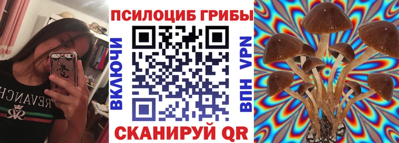 сколько стоит  Реутов  блэк спрут онион  Псилоцибиновые грибы мицелий 